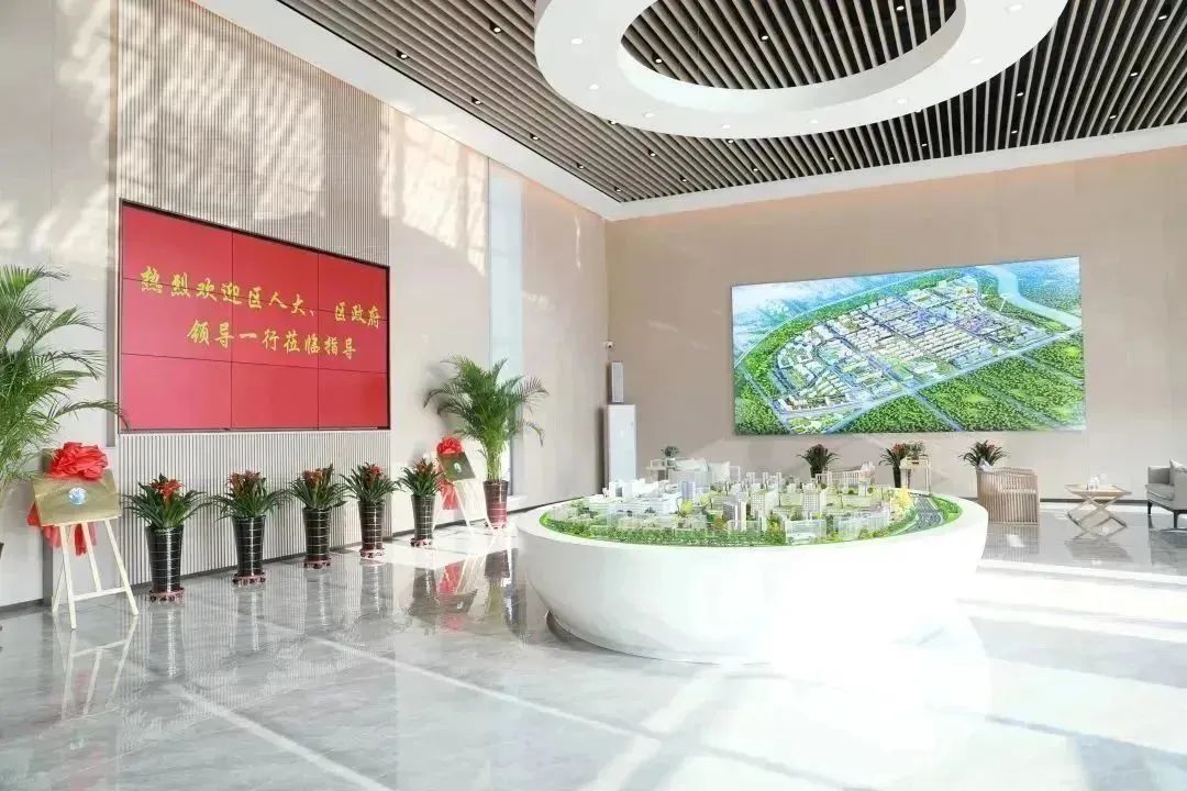 龍港區(qū)人大、區(qū)政府領(lǐng)導(dǎo)一行視察調(diào)研龍港國際醫(yī)療健康產(chǎn)業(yè)園(圖2)